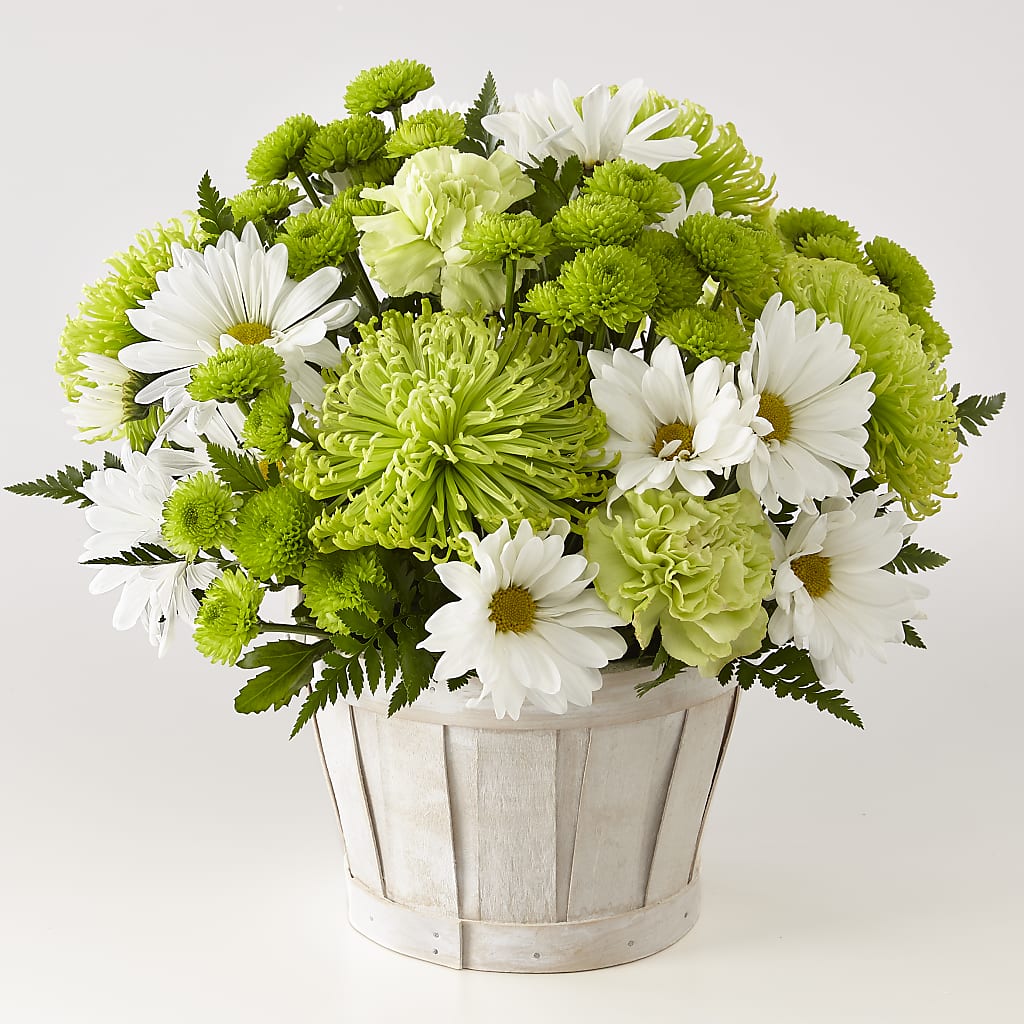 Lucky Charm Basket (Standard) – PIKE CREEK FLOWERS & GIFTS, Wilmington DE