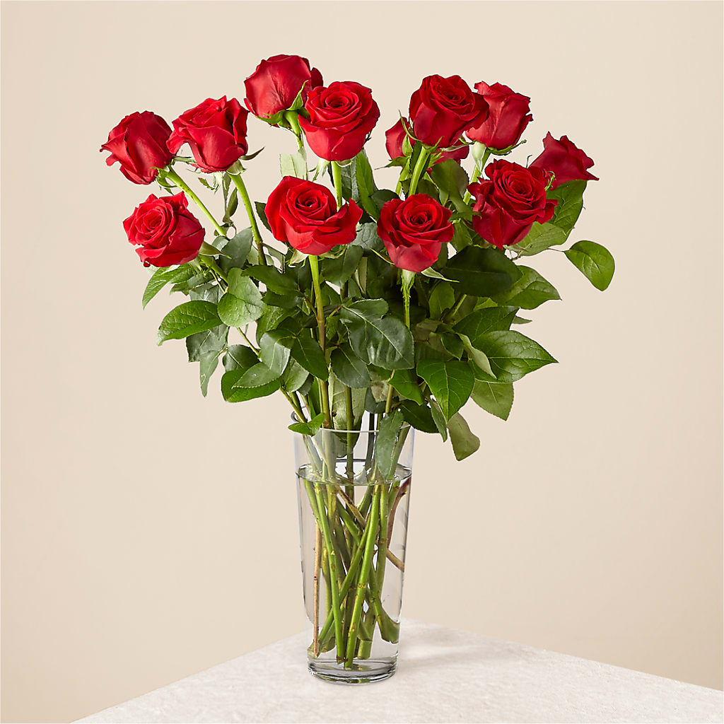 Long Stem Red Rose Bouquet – PIKE CREEK FLOWERS & GIFTS, Wilmington DE