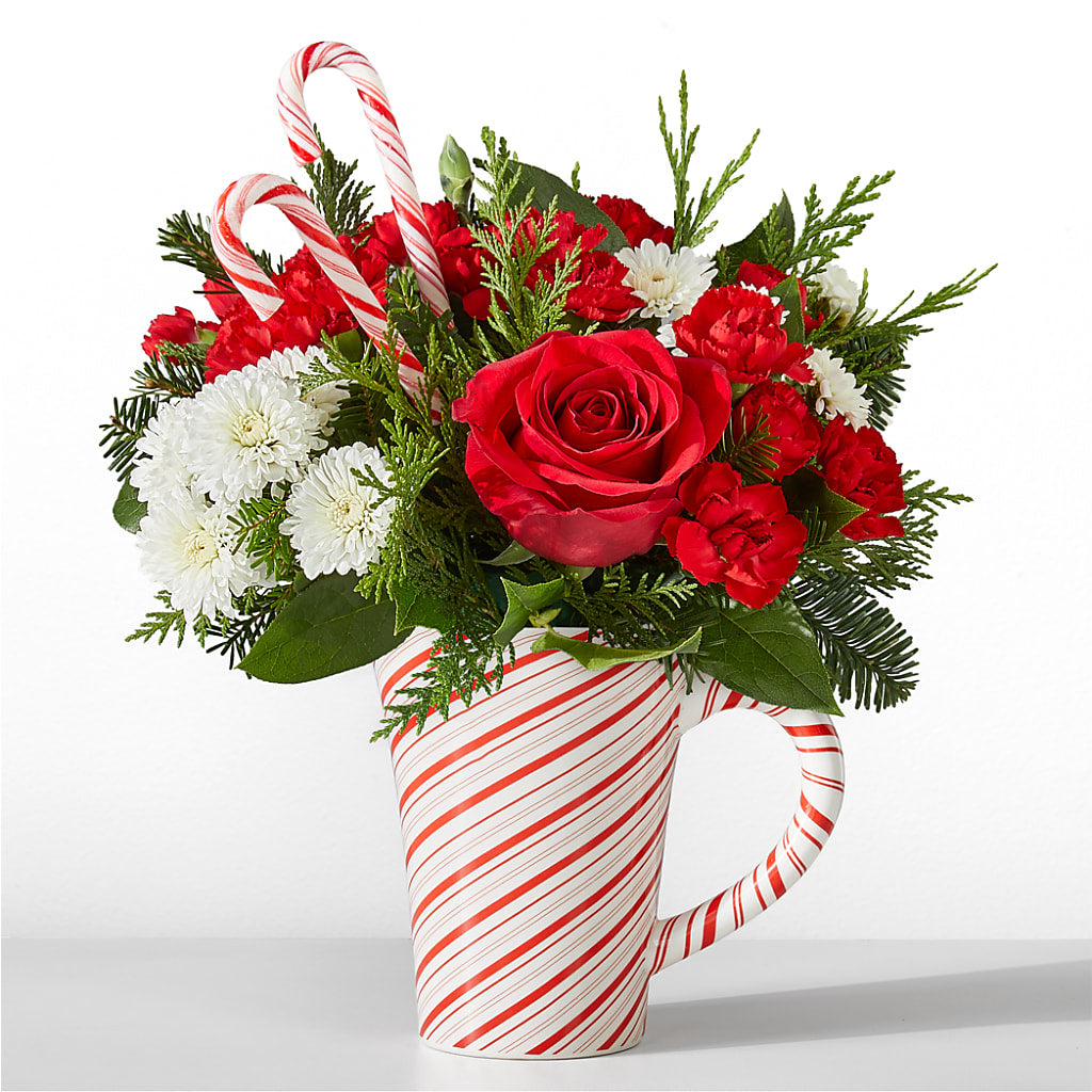 Peppermint Swirl Mug – PIKE CREEK FLOWERS & GIFTS, Wilmington DE