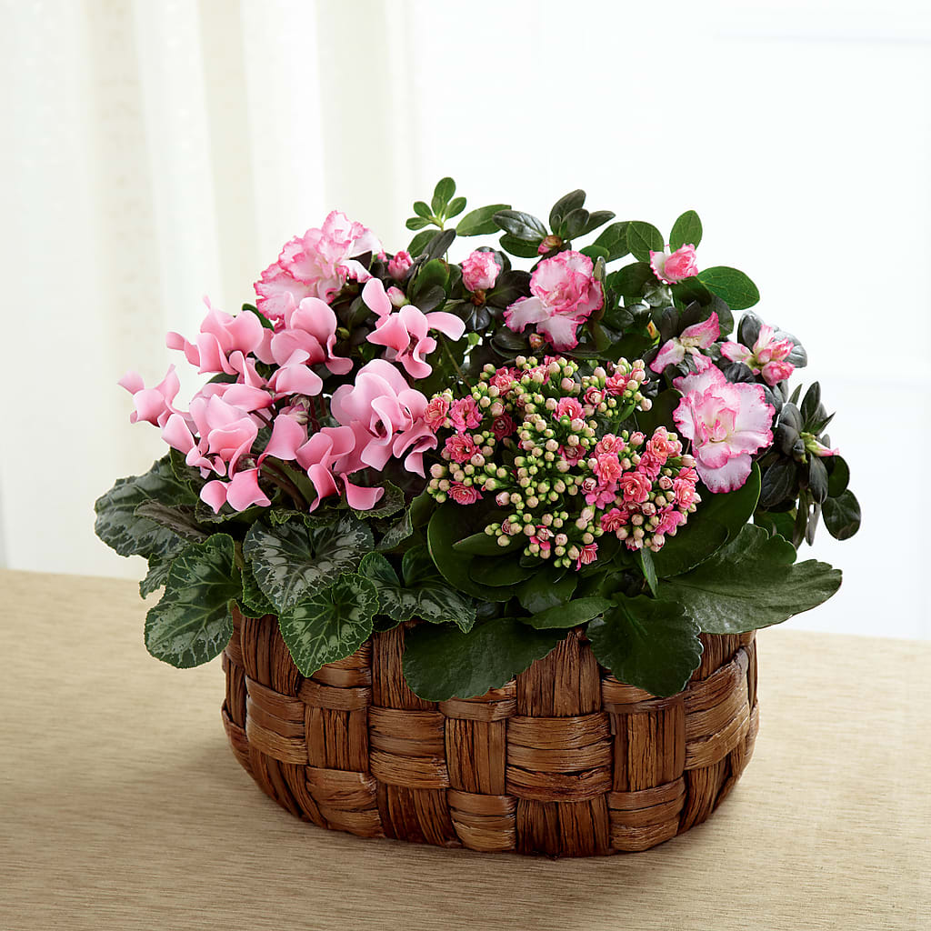 Pink Assortment – PIKE CREEK FLOWERS & GIFTS, Wilmington DE