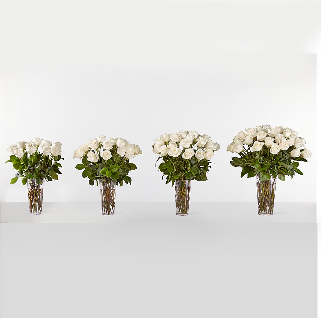 Long Stem White Rose Bouquet – PIKE CREEK FLOWERS & GIFTS, Wilmington DE