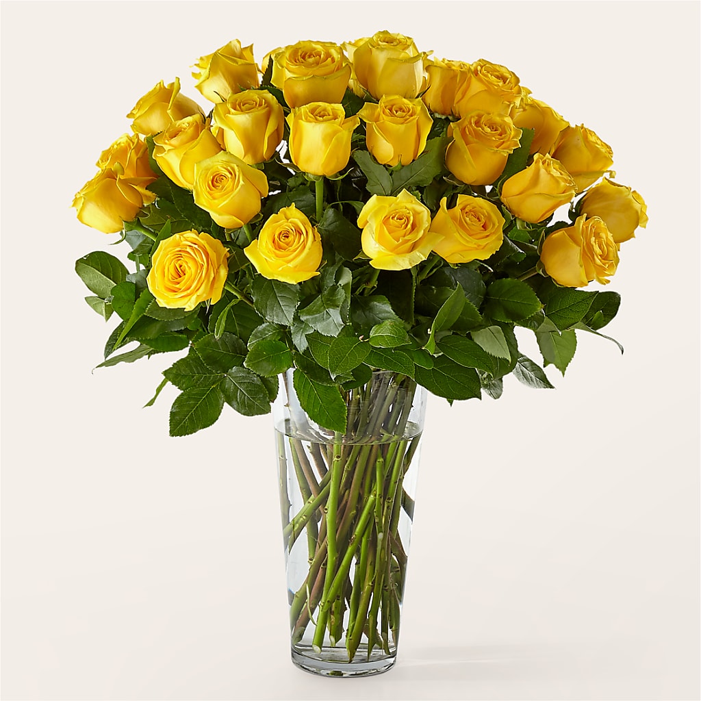 Long Stem Yellow Rose Bouquet – PIKE CREEK FLOWERS & GIFTS, Wilmington DE