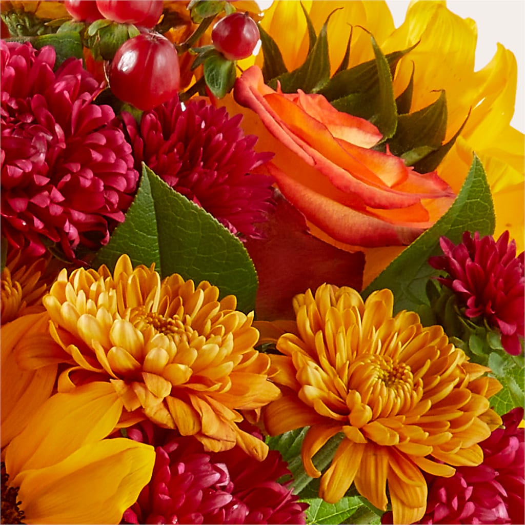 Sweater Season - A Florist Original – PIKE CREEK FLOWERS & GIFTS, Wilmington DE