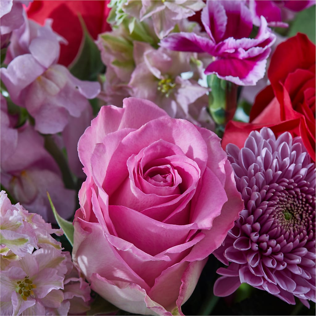 Better Together - A Luxury Florist Original – PIKE CREEK FLOWERS & GIFTS, Wilmington DE