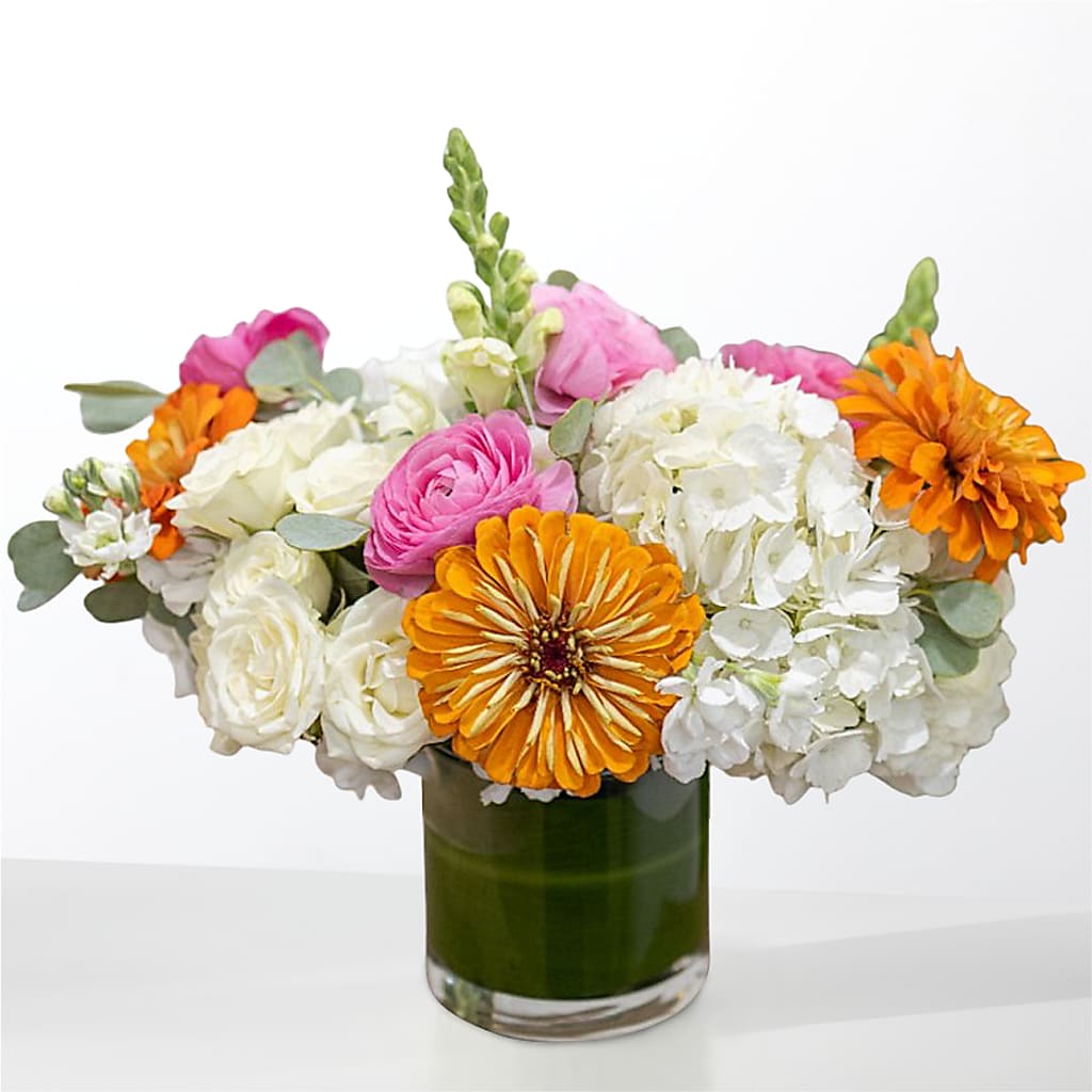 The Meet Cute – PIKE CREEK FLOWERS & GIFTS, Wilmington DE