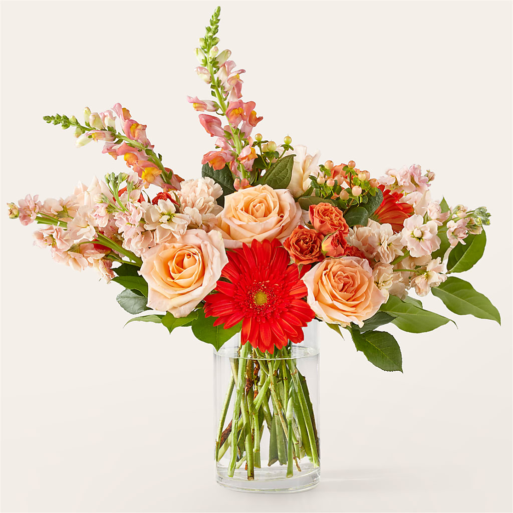 Paloma Please Bouquet – PIKE CREEK FLOWERS & GIFTS, Wilmington DE