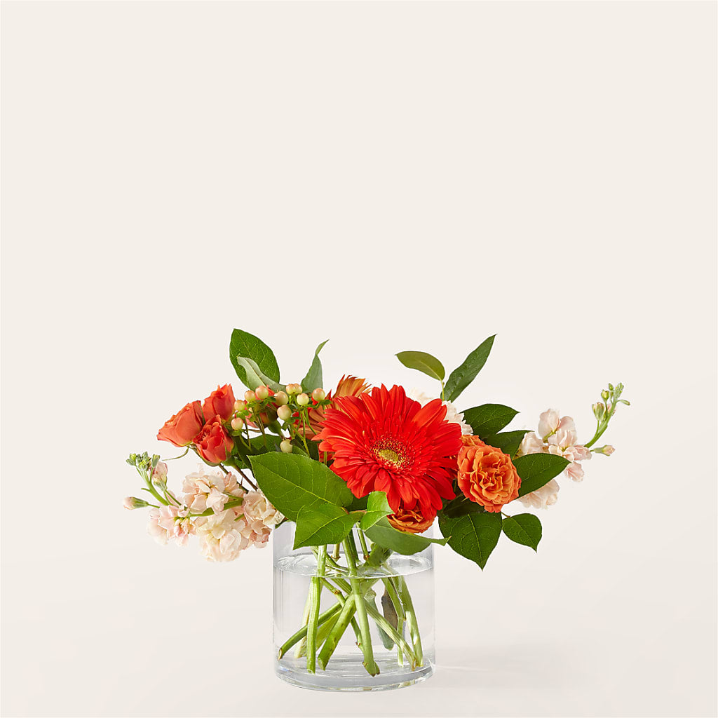 Paloma Please Bouquet – PIKE CREEK FLOWERS & GIFTS, Wilmington DE
