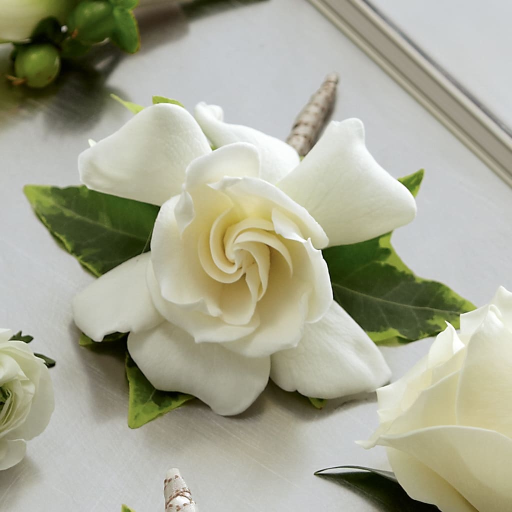 Gardenia Boutonniere – PIKE CREEK FLOWERS & GIFTS, Wilmington DE