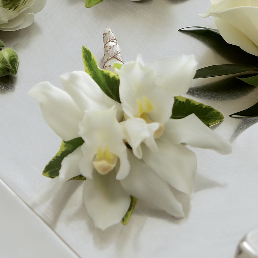White Mini Cymbidium Boutonniere – PIKE CREEK FLOWERS & GIFTS, Wilmington DE