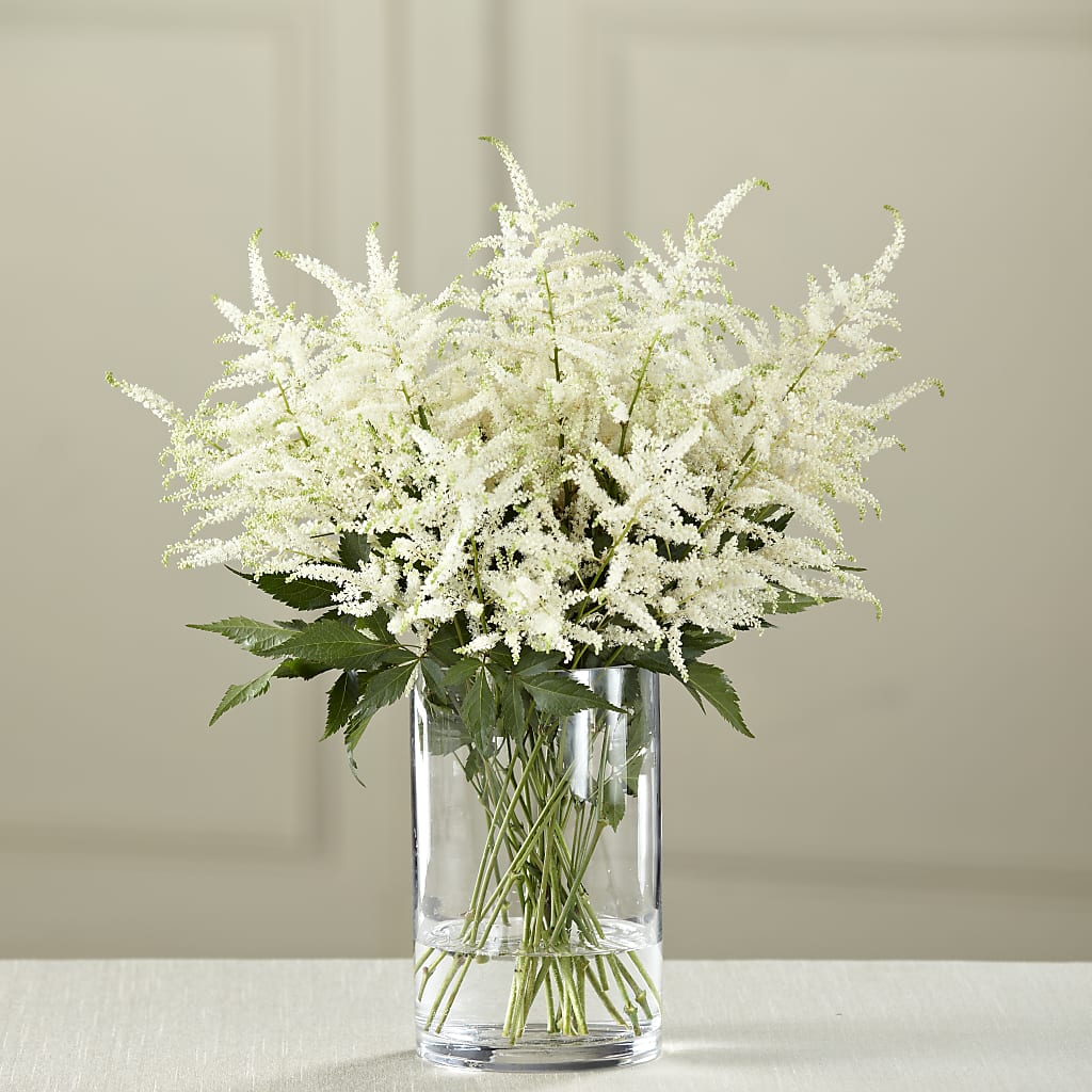 White Astilbe Bouquet – PIKE CREEK FLOWERS & GIFTS, Wilmington DE