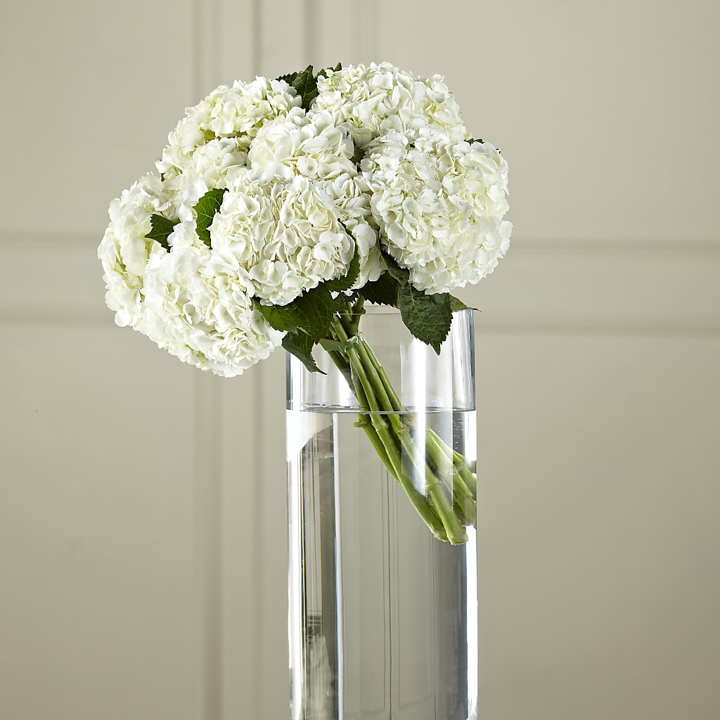 White Hydrangea Hand-Tied Bouquet – PIKE CREEK FLOWERS & GIFTS, Wilmington DE