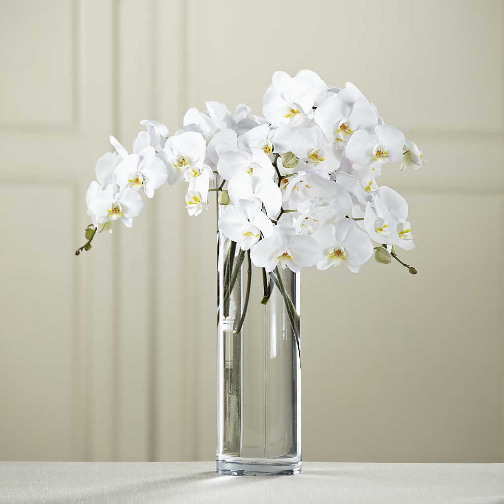 White Phalaenopsis Bouquet – PIKE CREEK FLOWERS & GIFTS, Wilmington DE