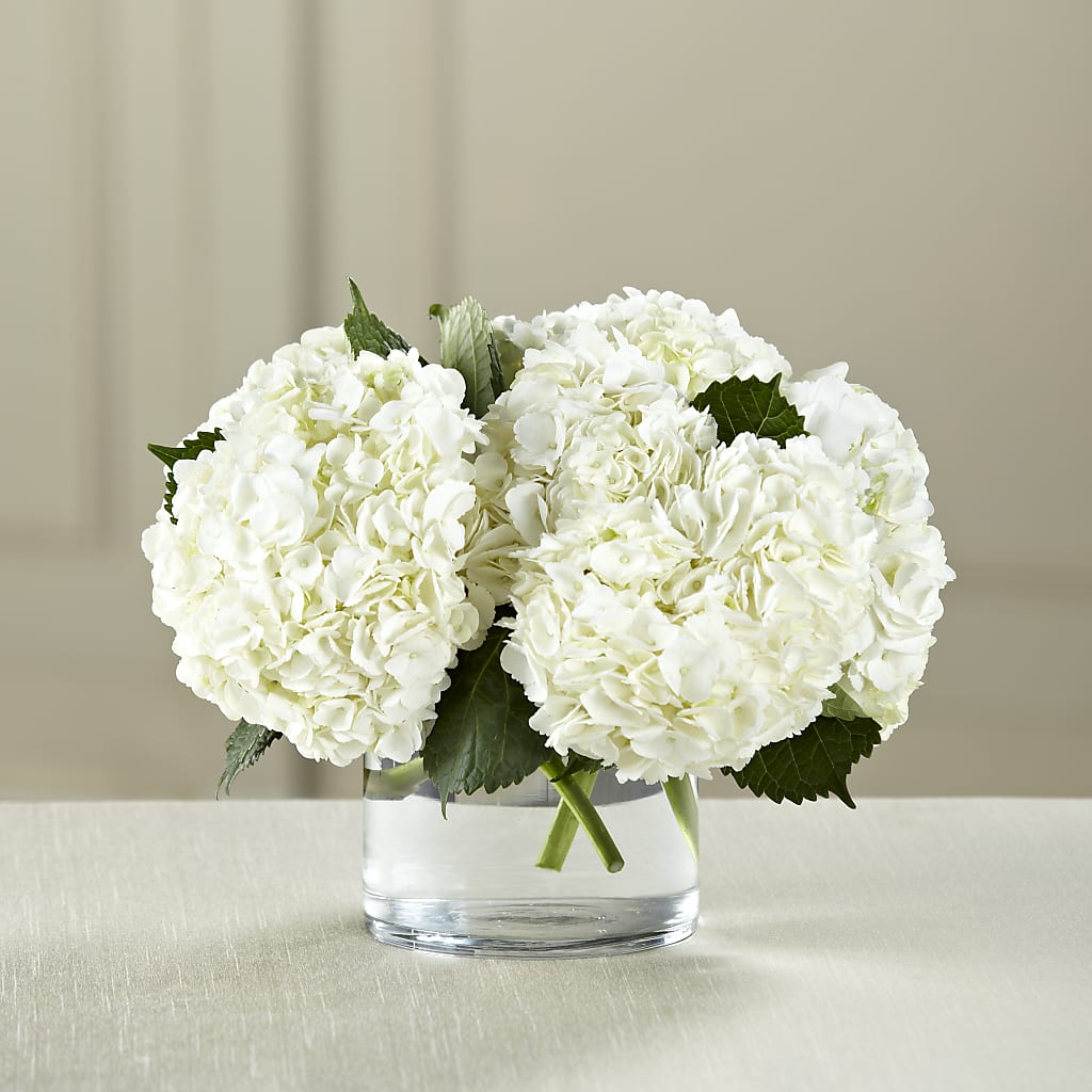 White Hydrangea Bouquet – PIKE CREEK FLOWERS & GIFTS, Wilmington DE