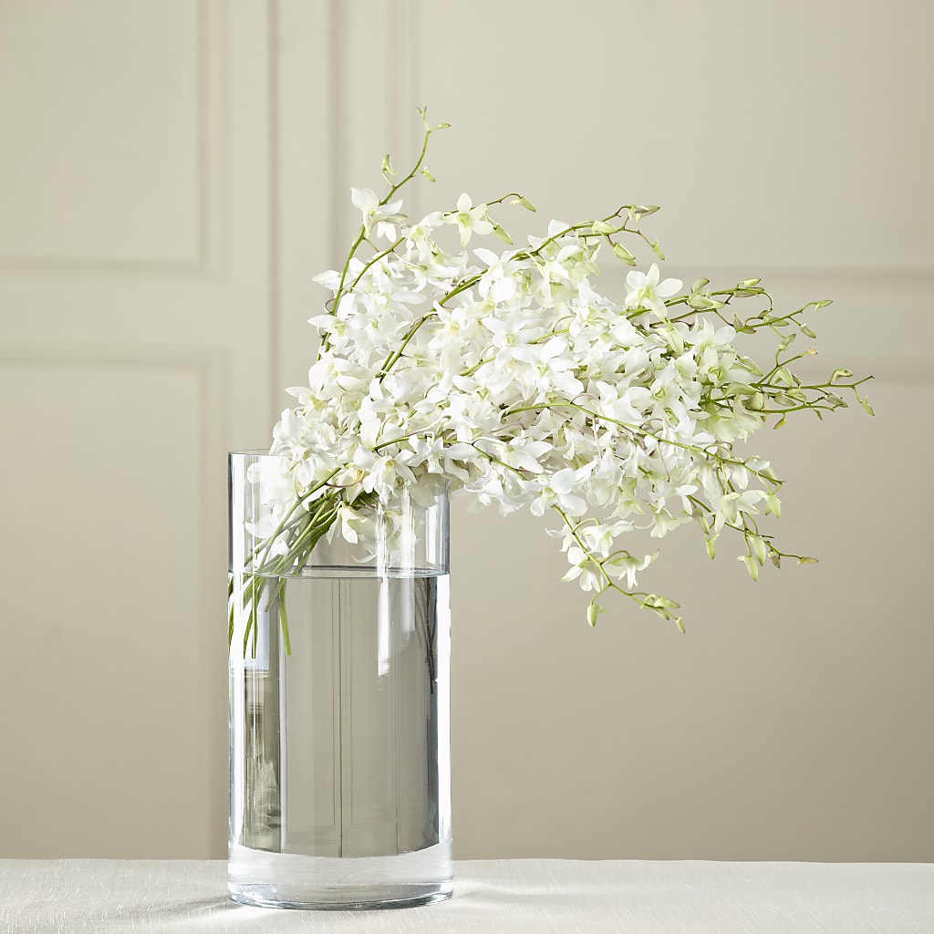 White Dendrobium Bouquet – PIKE CREEK FLOWERS & GIFTS, Wilmington DE