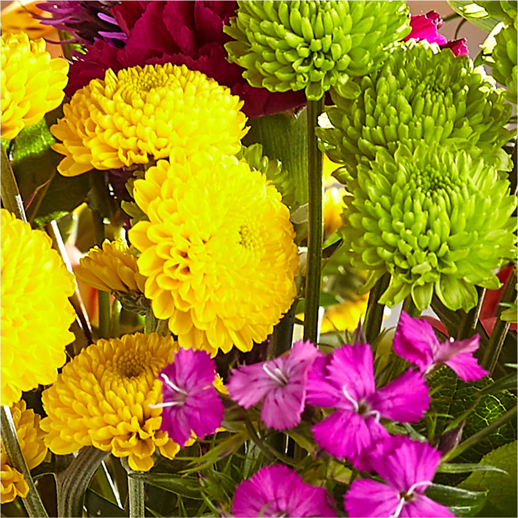 Bold & Bright – A Florist Original – PIKE CREEK FLOWERS & GIFTS, Wilmington DE