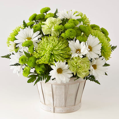 Lucky Charm Basket (Standard) – PIKE CREEK FLOWERS & GIFTS, Wilmington DE
