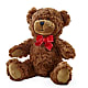 Adorable Plush Bear – PIKE CREEK FLOWERS & GIFTS, Wilmington DE