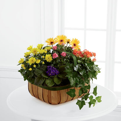 Gentle Blossoms Basket – PIKE CREEK FLOWERS & GIFTS, Wilmington DE