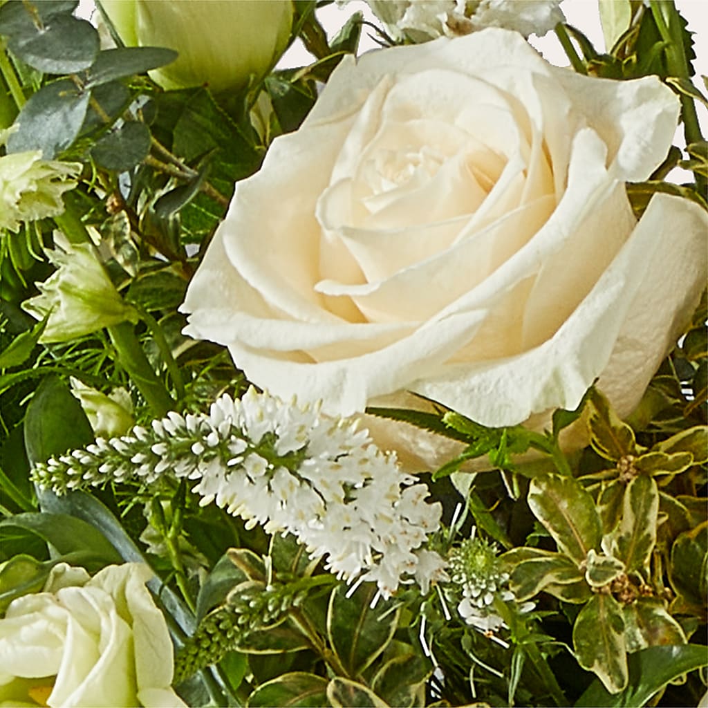 Cashmere Bouquet – PIKE CREEK FLOWERS & GIFTS, Wilmington DE