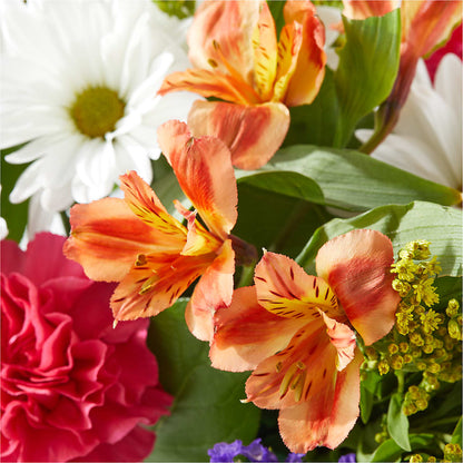 Oopsie Daisy Box Bouquet – PIKE CREEK FLOWERS & GIFTS, Wilmington DE