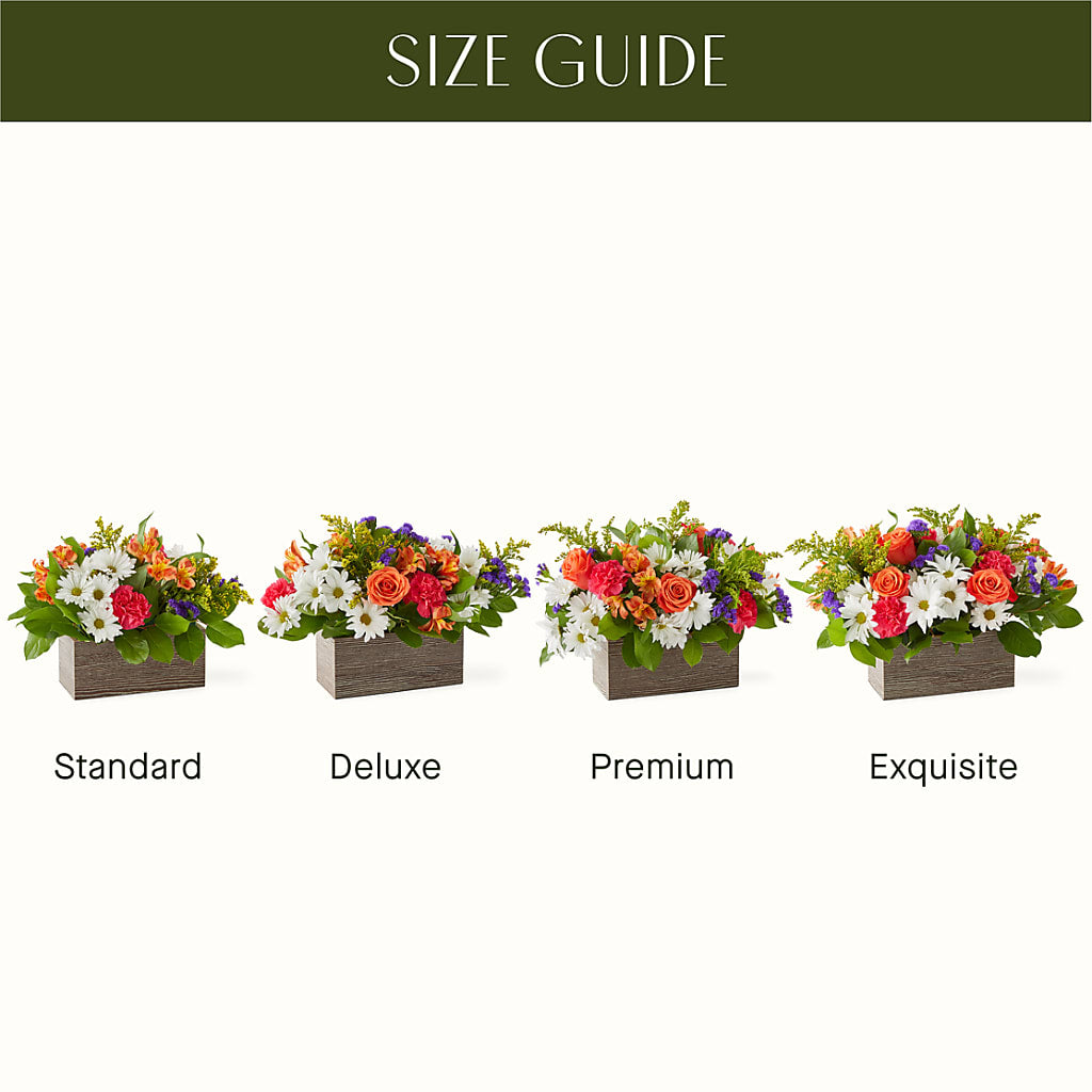 Oopsie Daisy Box Bouquet – PIKE CREEK FLOWERS & GIFTS, Wilmington DE