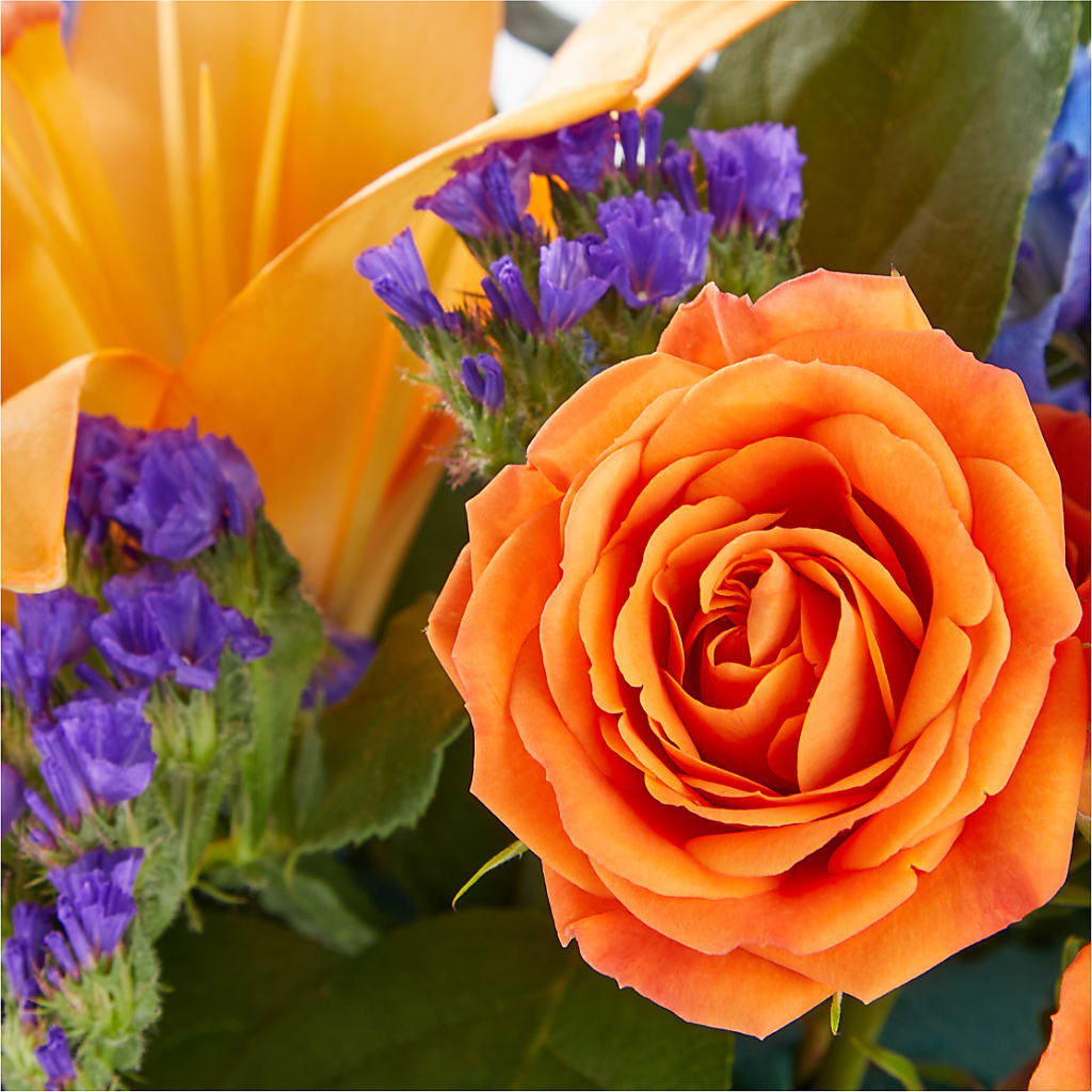 Radiant Citrus Box Bouquet – PIKE CREEK FLOWERS & GIFTS, Wilmington DE
