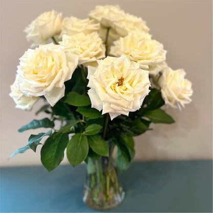 Long Stem Yellow Rose Bouquet – PIKE CREEK FLOWERS & GIFTS, Wilmington DE
