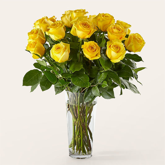 Long Stem Yellow Rose Bouquet – PIKE CREEK FLOWERS & GIFTS, Wilmington DE