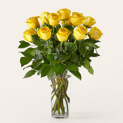 Long Stem Yellow Rose Bouquet – PIKE CREEK FLOWERS & GIFTS, Wilmington DE