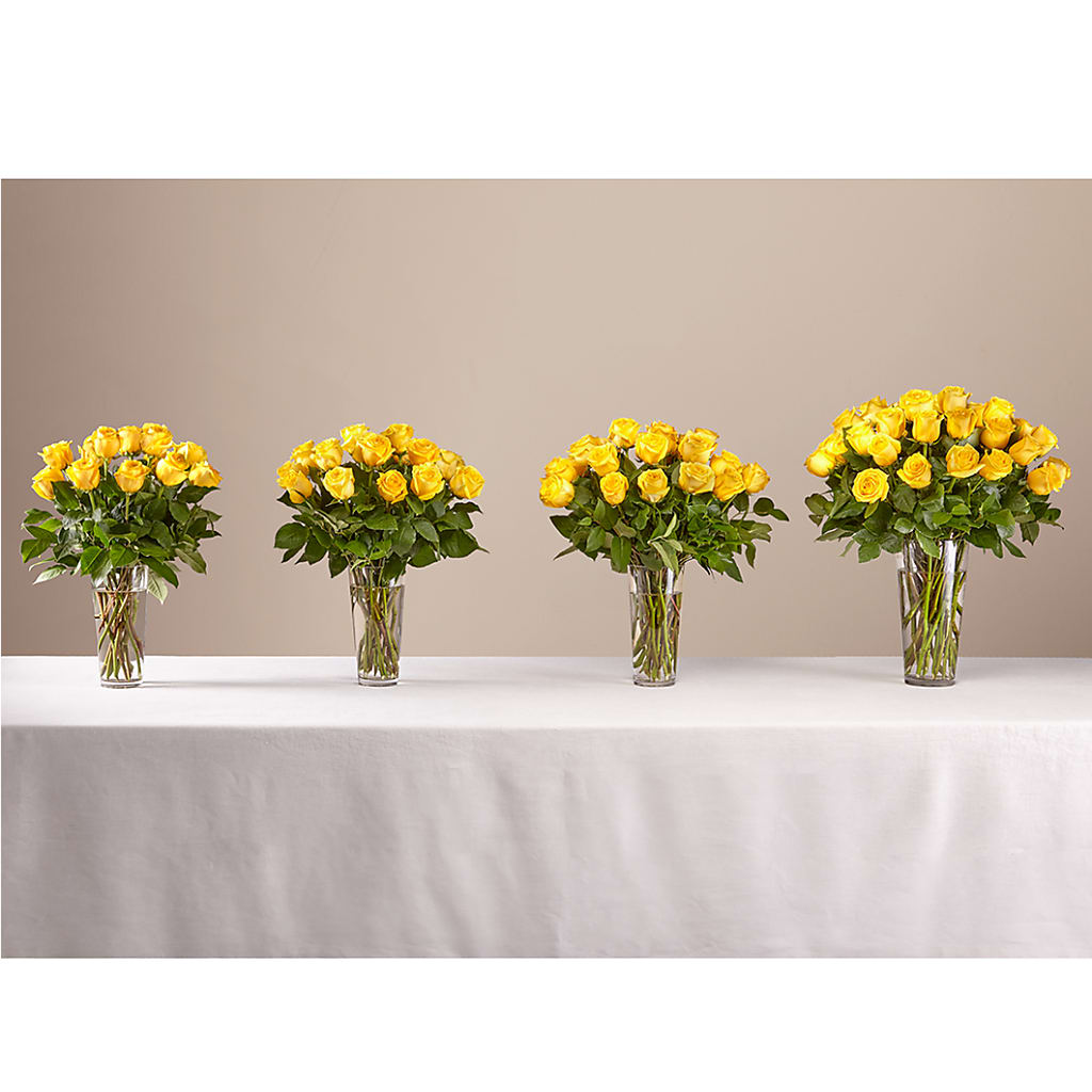Long Stem Yellow Rose Bouquet – PIKE CREEK FLOWERS & GIFTS, Wilmington DE