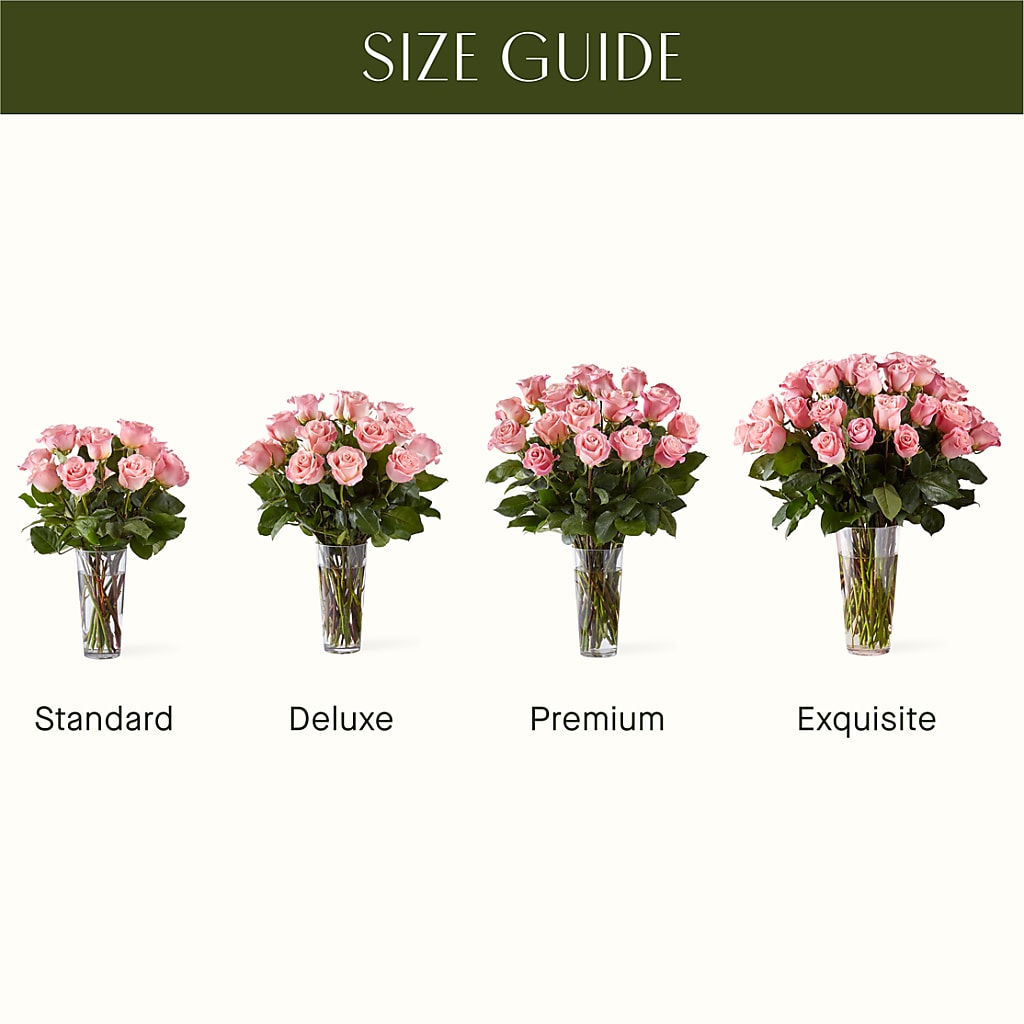 Long Stem Pink Rose Bouquet – PIKE CREEK FLOWERS & GIFTS, Wilmington DE