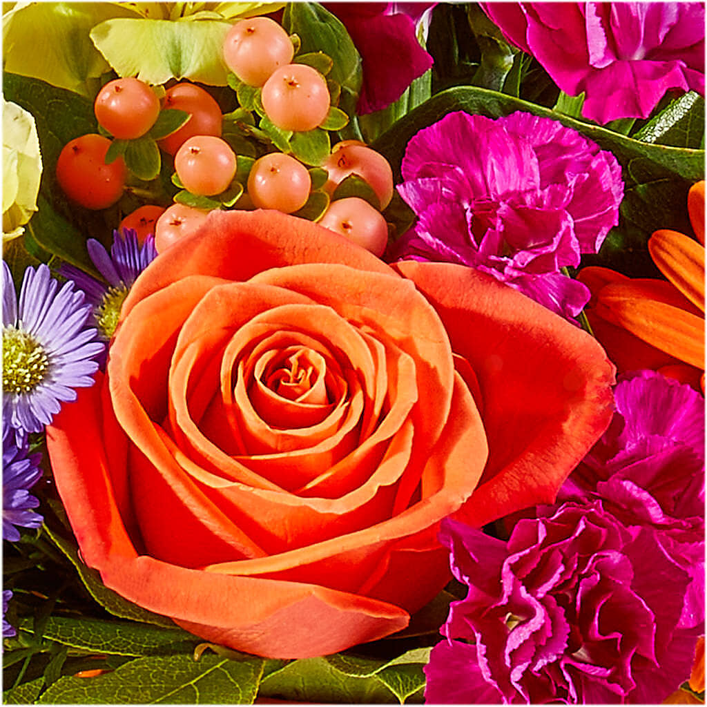 Tricks & Treats Pumpkin – PIKE CREEK FLOWERS & GIFTS, Wilmington DE