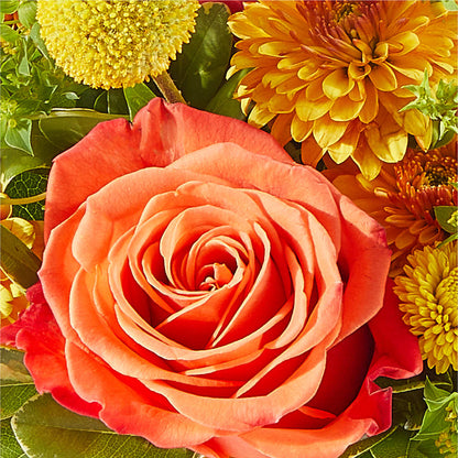 Gourdgeous Pumpkin – PIKE CREEK FLOWERS & GIFTS, Wilmington DE