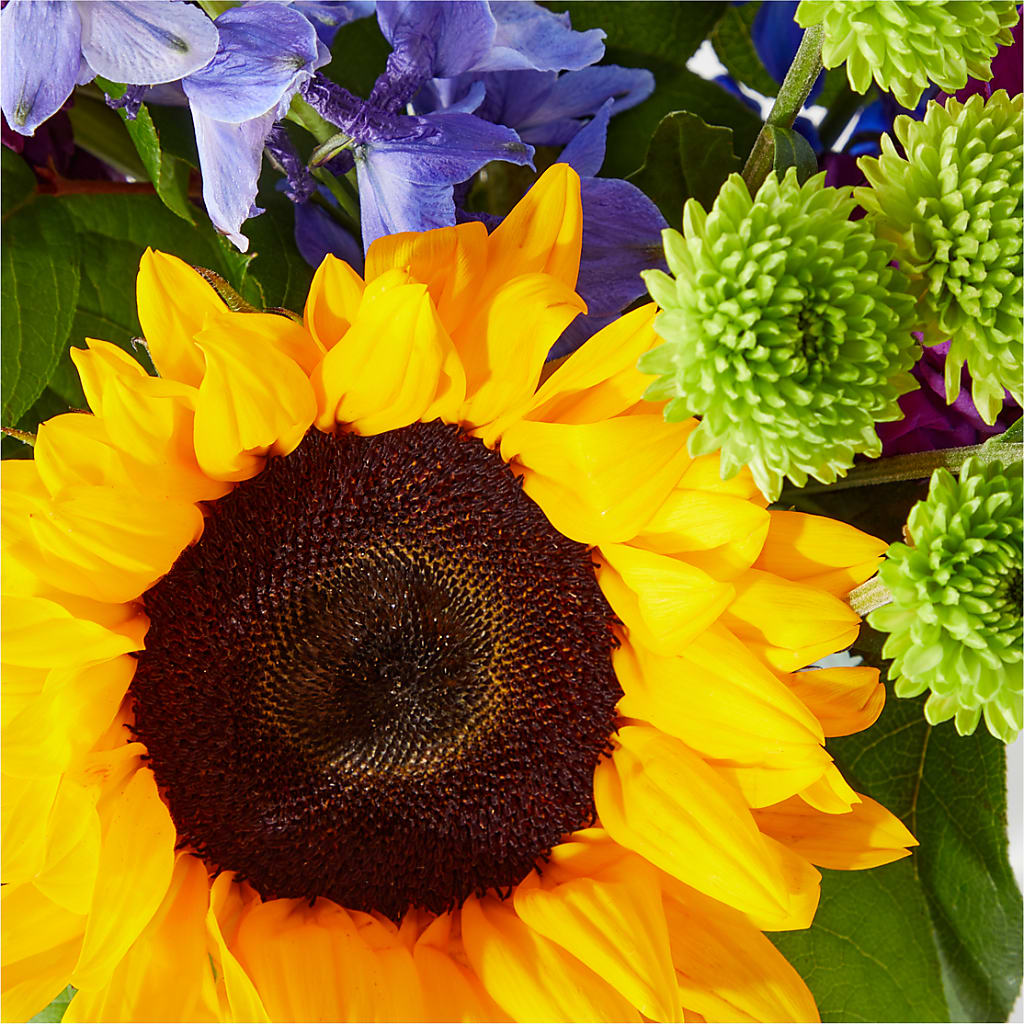 Catching Rays Bouquet – PIKE CREEK FLOWERS & GIFTS, Wilmington DE