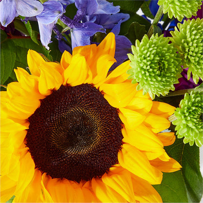 Catching Rays Bouquet – PIKE CREEK FLOWERS & GIFTS, Wilmington DE