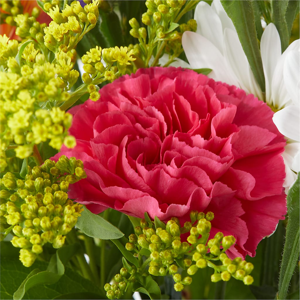 Oopsie Daisy Bouquet – PIKE CREEK FLOWERS & GIFTS, Wilmington DE