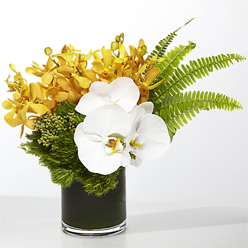 The Tropics – PIKE CREEK FLOWERS & GIFTS, Wilmington DE