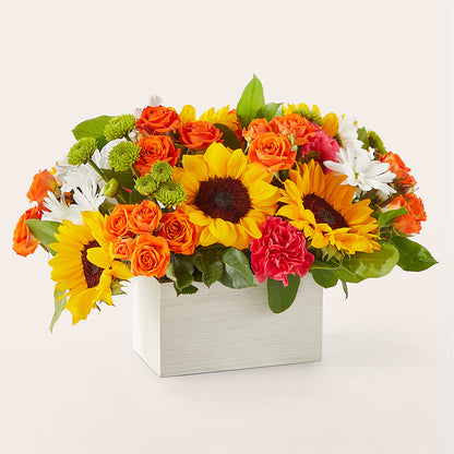 Sun-drenched Blooms Box Bouquet – PIKE CREEK FLOWERS & GIFTS, Wilmington DE