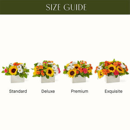 Sun-drenched Blooms Box Bouquet – PIKE CREEK FLOWERS & GIFTS, Wilmington DE