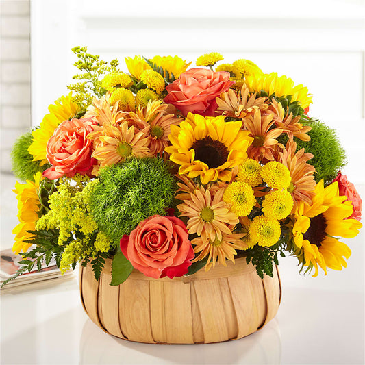 Harvest Sunflower Basket – PIKE CREEK FLOWERS & GIFTS, Wilmington DE