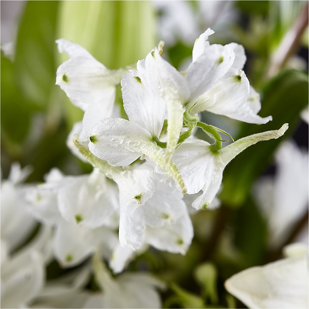Classic Ivory – A Florist Original – PIKE CREEK FLOWERS & GIFTS, Wilmington DE