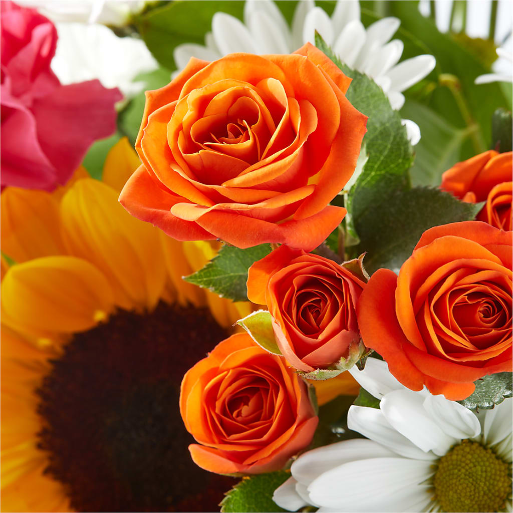 Sun-drenched Blooms Bouquet – PIKE CREEK FLOWERS & GIFTS, Wilmington DE