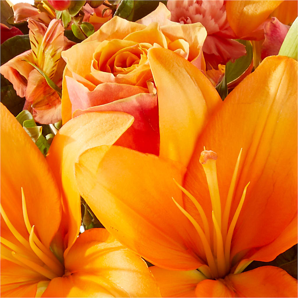 Afternoon Light Bouquet – PIKE CREEK FLOWERS & GIFTS, Wilmington DE