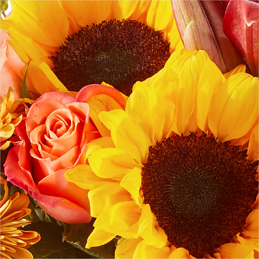 Acorn Lane Bouquet – PIKE CREEK FLOWERS & GIFTS, Wilmington DE