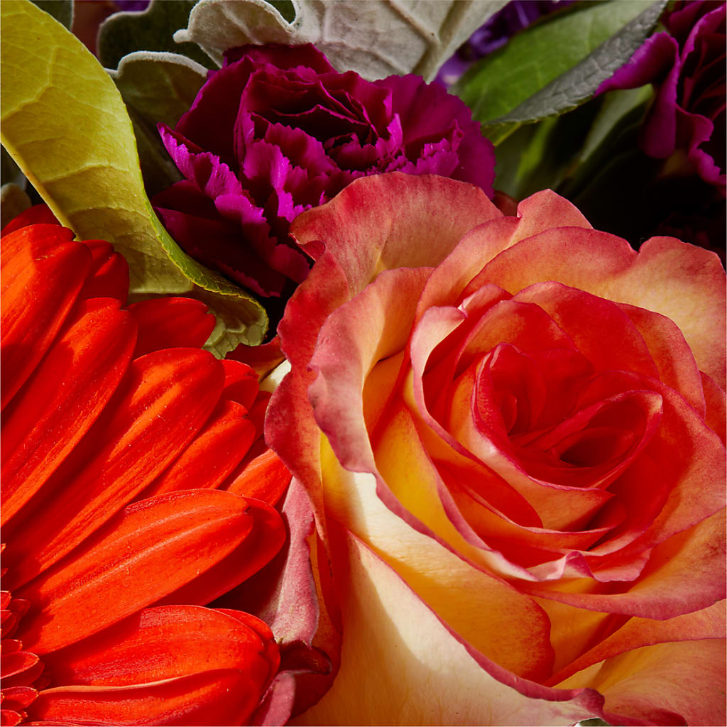 Sangria Bouquet – PIKE CREEK FLOWERS & GIFTS, Wilmington DE