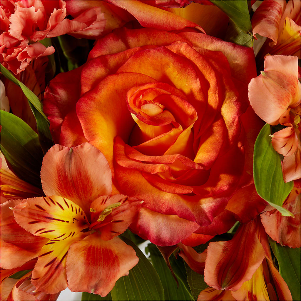 Apricot Glow Bouquet – PIKE CREEK FLOWERS & GIFTS, Wilmington DE