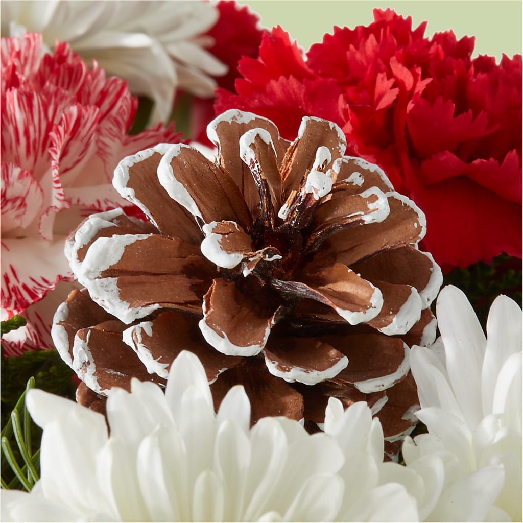 Candy Cane Lane Bouquet – PIKE CREEK FLOWERS & GIFTS, Wilmington DE