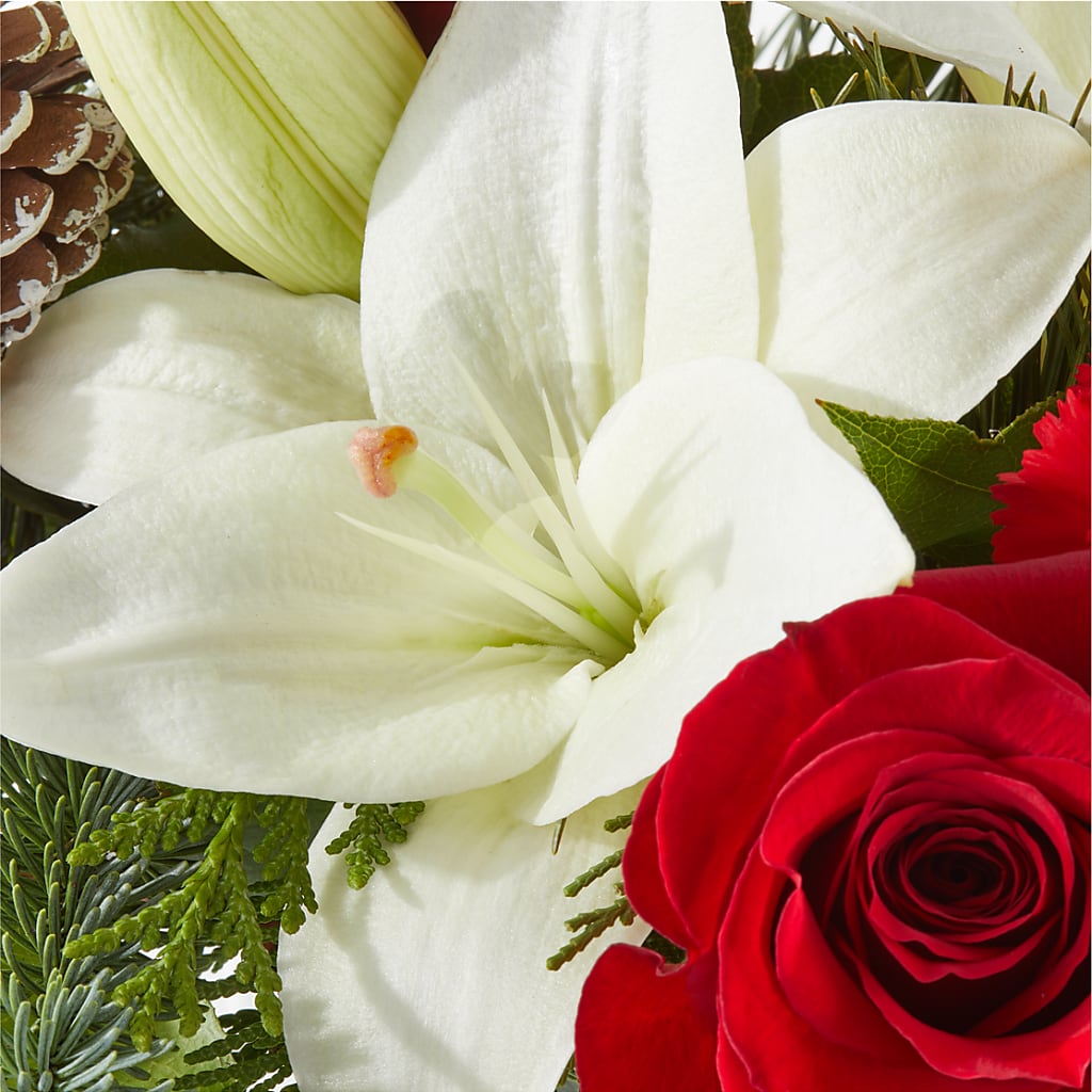 Oh So Jolly Bouquet – PIKE CREEK FLOWERS & GIFTS, Wilmington DE