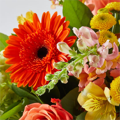 Autumn Sunshine Bouquet – PIKE CREEK FLOWERS & GIFTS, Wilmington DE