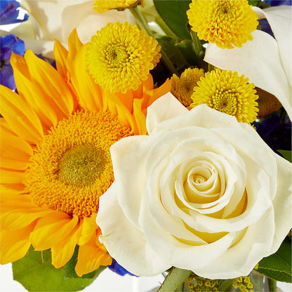 Stargazing Bouquet – PIKE CREEK FLOWERS & GIFTS, Wilmington DE
